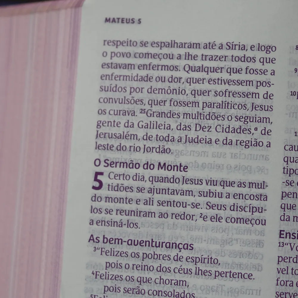 Bíblia Devocional Para Garotas | NVT | Letra Grande | Capa Dura Lettering