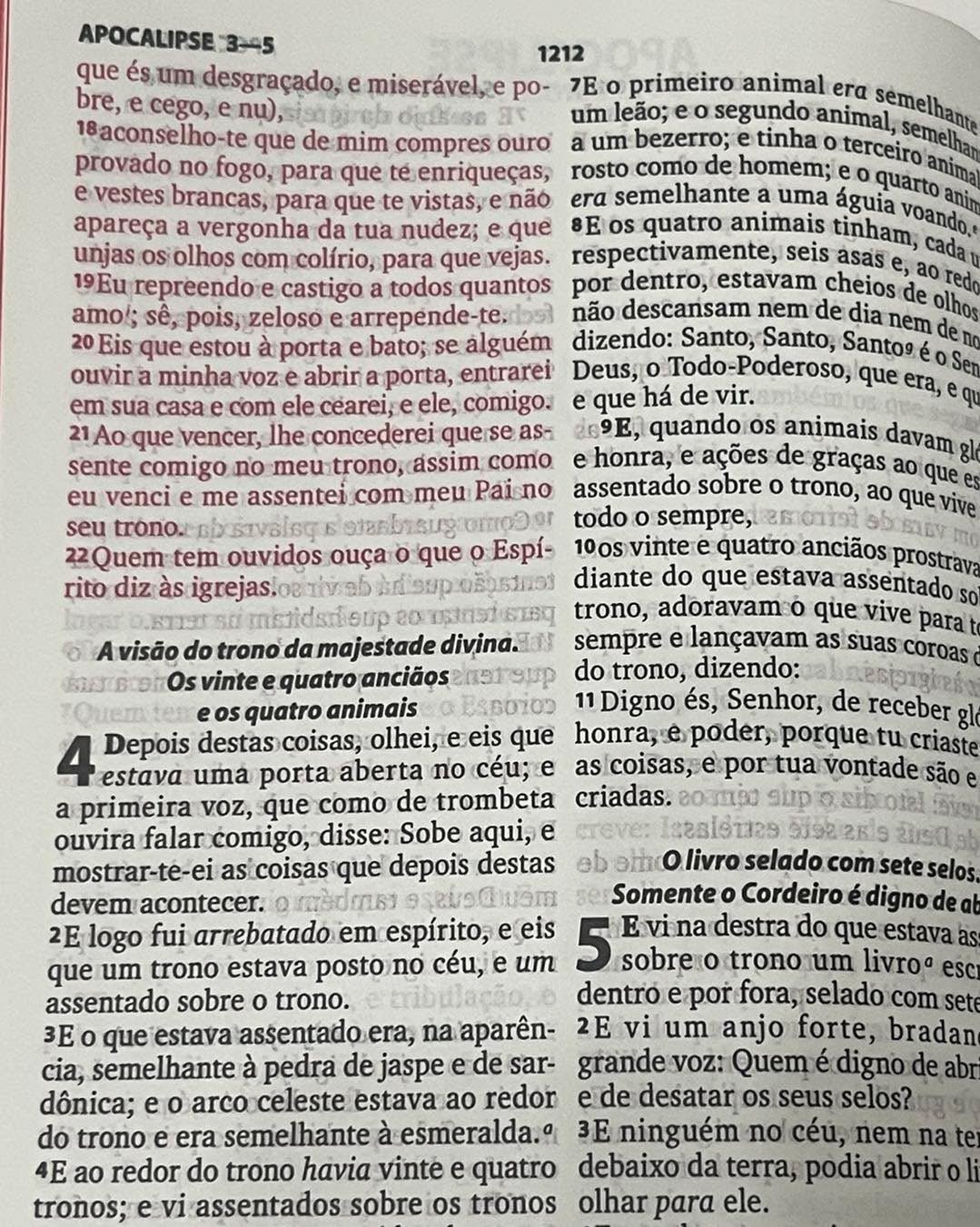 Bíblia Sagrada leão de Juda letra gigante – NVI capa dura