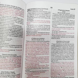 Bíblia Sagrada Leao estrelas Letra media – NVI capa dura -Pre venda entrega a partir de 28/5