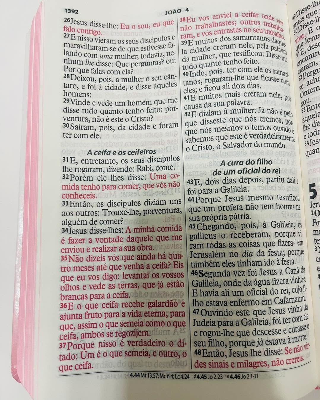 Bíblia Sagrada leão de Juda letra gigante – NVI capa dura