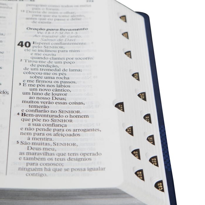 Bíblia Sagrada Letra Gigante Almeida RevistA E Corrigida com indice azul