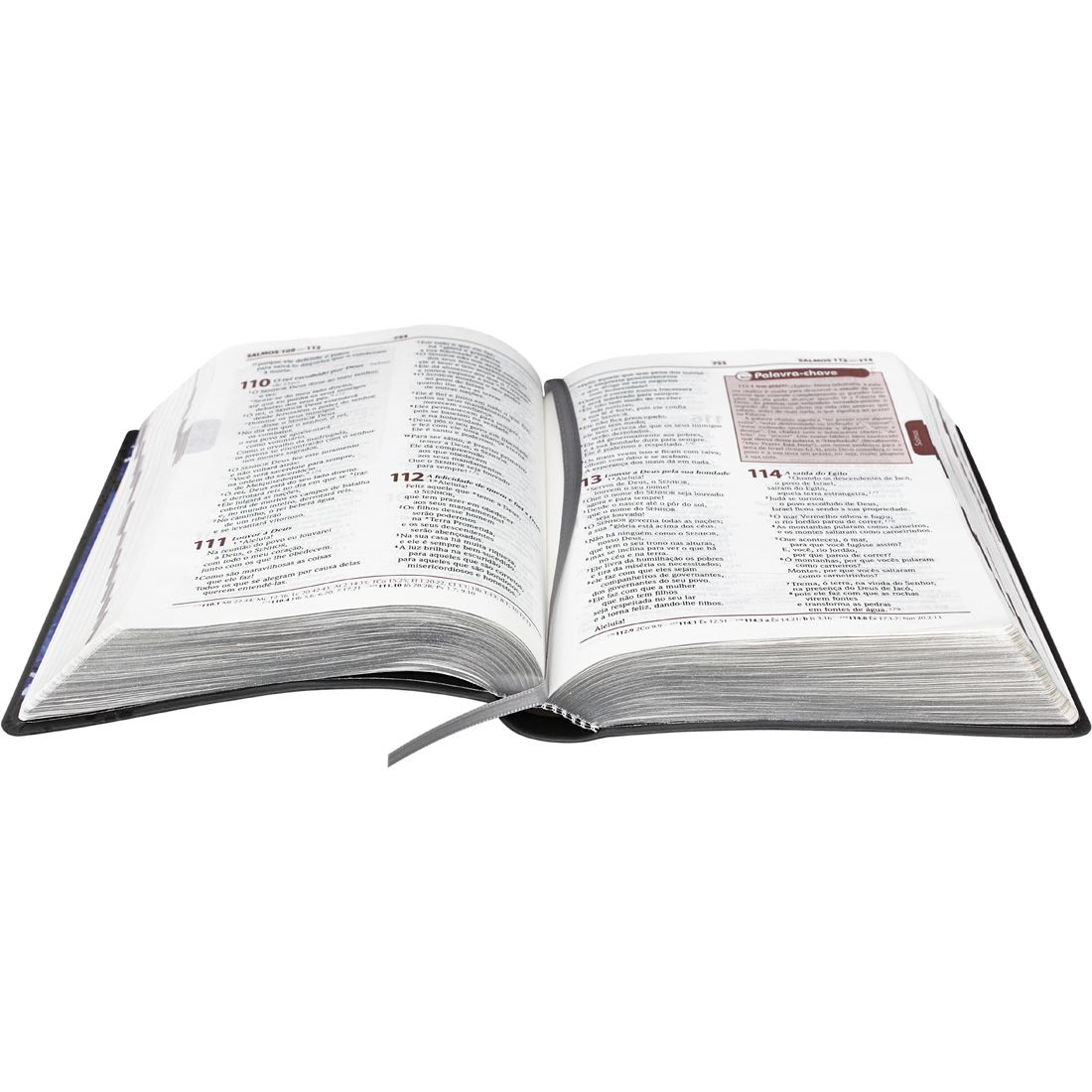 Bíblia de Estudo Plenitude para Jovens--Pre venda entrega a partir de 28/5