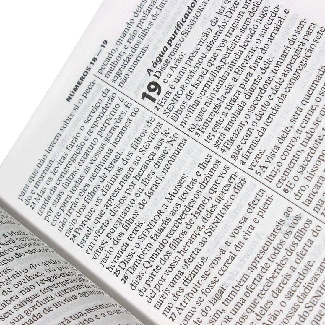 Bíblia Sagrada Letra Gigante Almeida Revista e Atualizada rosa Nobre com indice - entrega entre 5-10/12