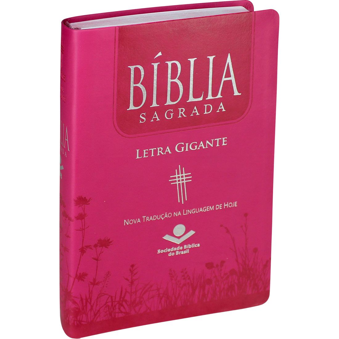 Bíblia Sagrada Letra Gigante - Sem Índice NTLH