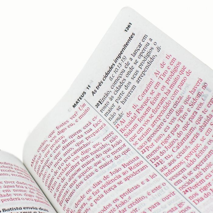 Bíblia Sagrada Letra Gigante Almeida RevistA E Corrigida com indice Rosa
