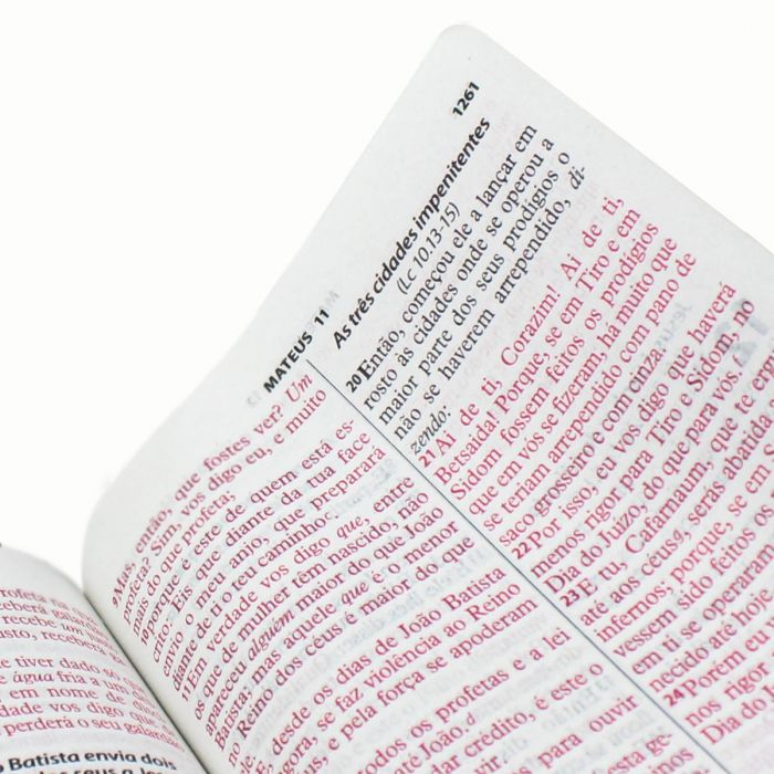 Bíblia Sagrada Letra Gigante Almeida RevistA E Corrigida com indice Rosa -