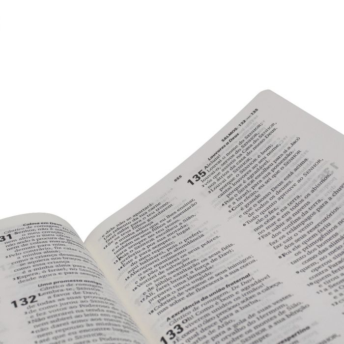 Bíblia Sagrada Letra Grande Almeida Revista e Atualizada PARA evangelização
