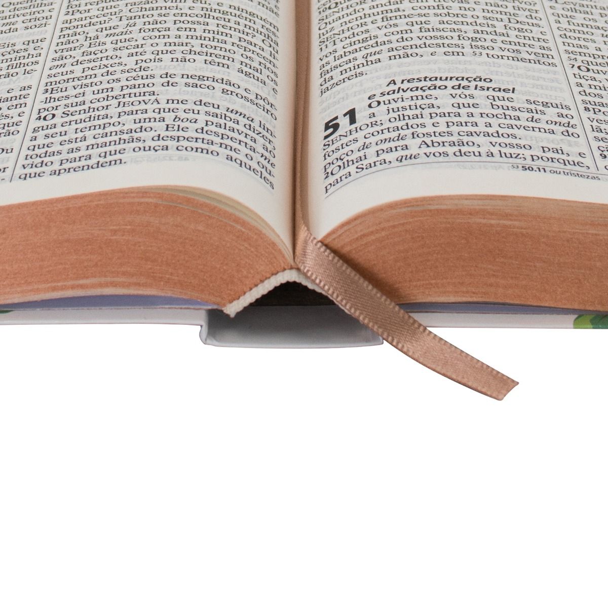 Bíblia Sagrada com Harpa Cristã ARC capa semiflexivel- Letra Gigante