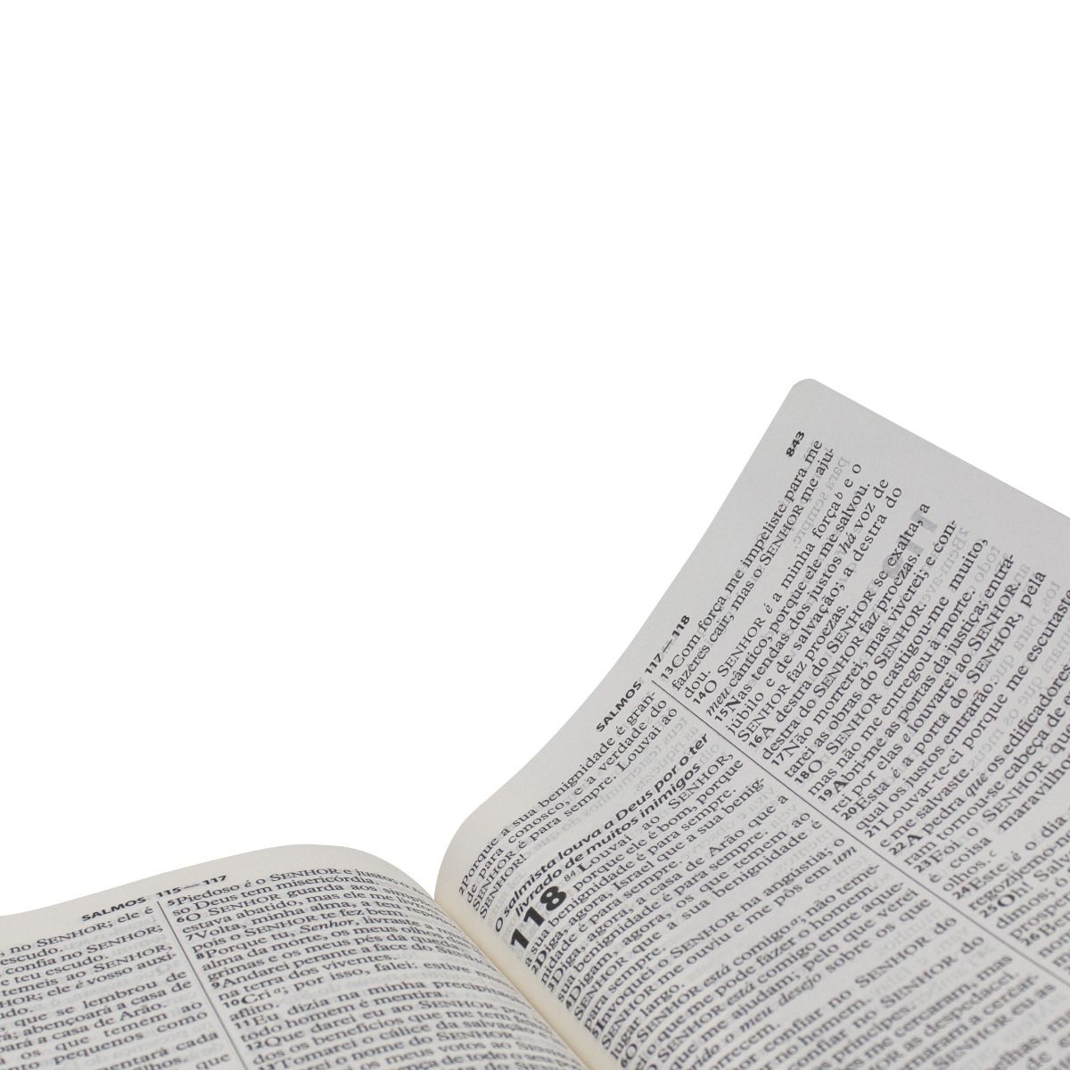 Bíblia Sagrada com Harpa Cristã ARC capa semiflexivel- Letra Gigante