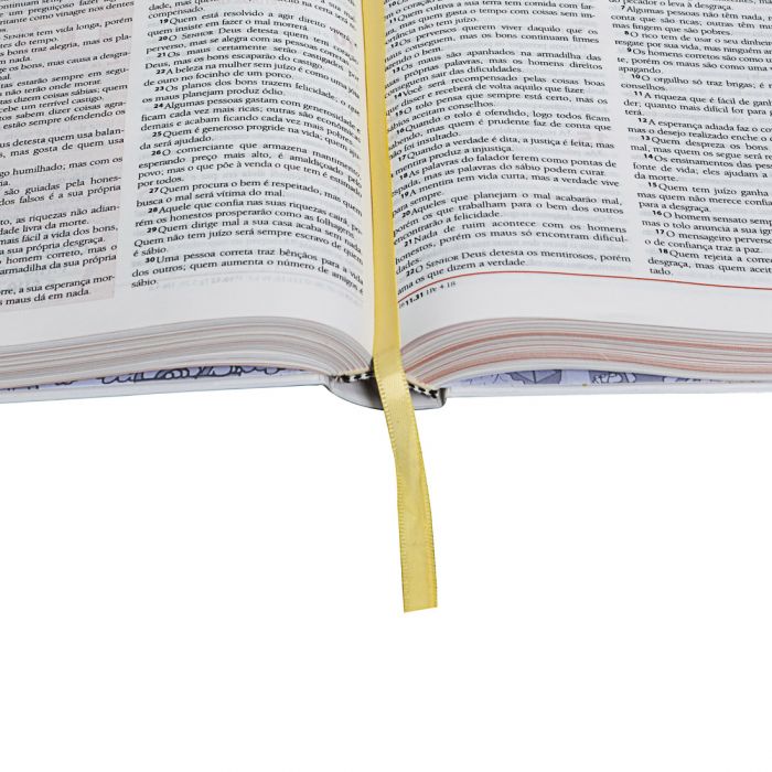 Bíblia das Descobertas rosa - NOVA tradução NA LINGUAGEM DE HOJE-Pre venda entrega a partir de 28/5