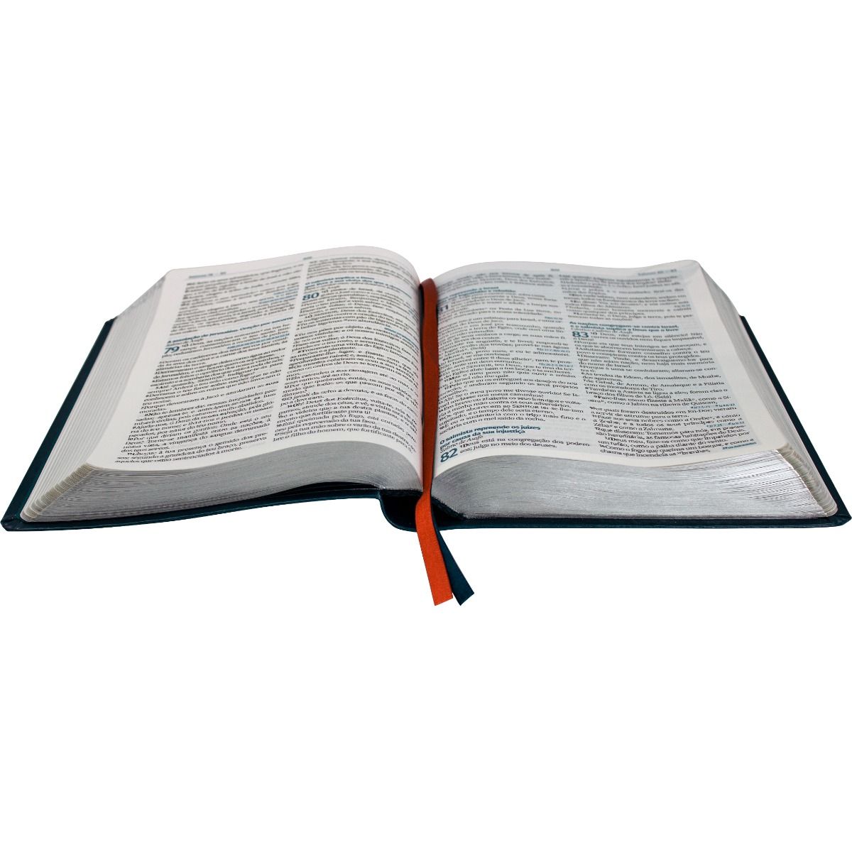 Bíblia do Jovem Pregador Pentecostal -Almeida Revista e Corrigida AZUL NOBRE