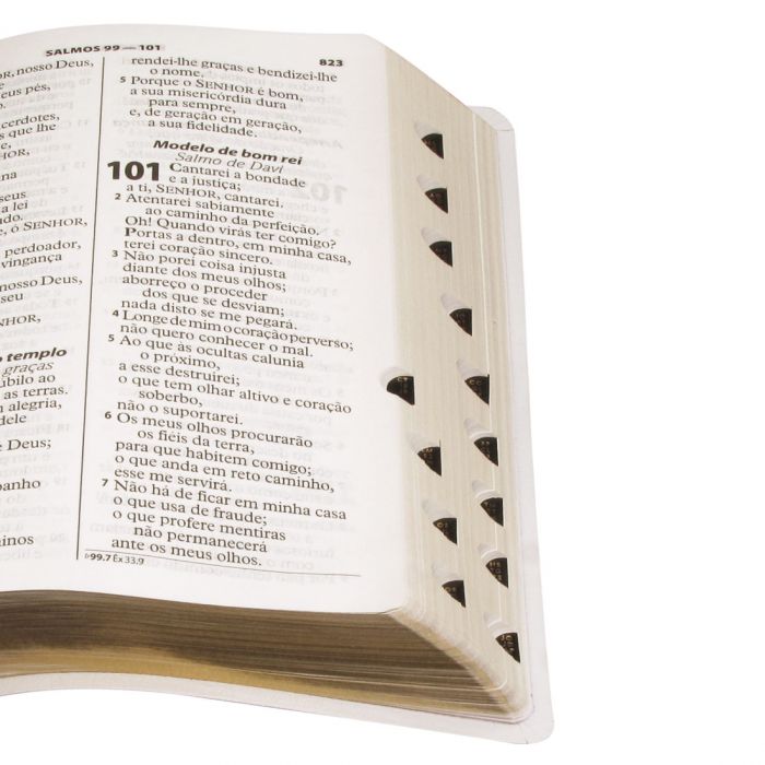 Bíblia letra gigante Revista e Atualizada  com índice - Pre venda entrega a partir de 28/5
