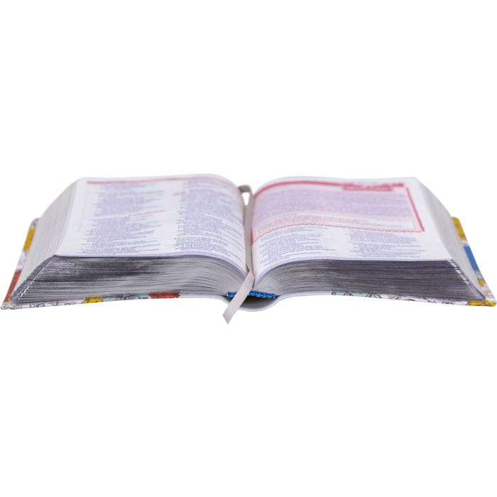 Bíblia Sagrada entre Meninas e Deus - Magnólia NTLH- Pre venda entrega a partir de 28/5