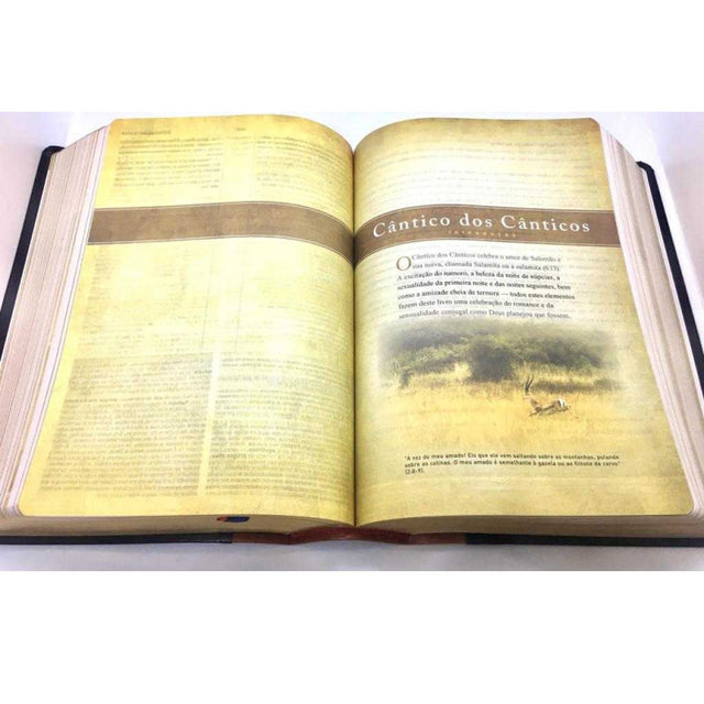 Bíblia King James 1611 BKJ Com Estudo Holman Marrom E Preto - Pre venda entrega a partir de 28/5