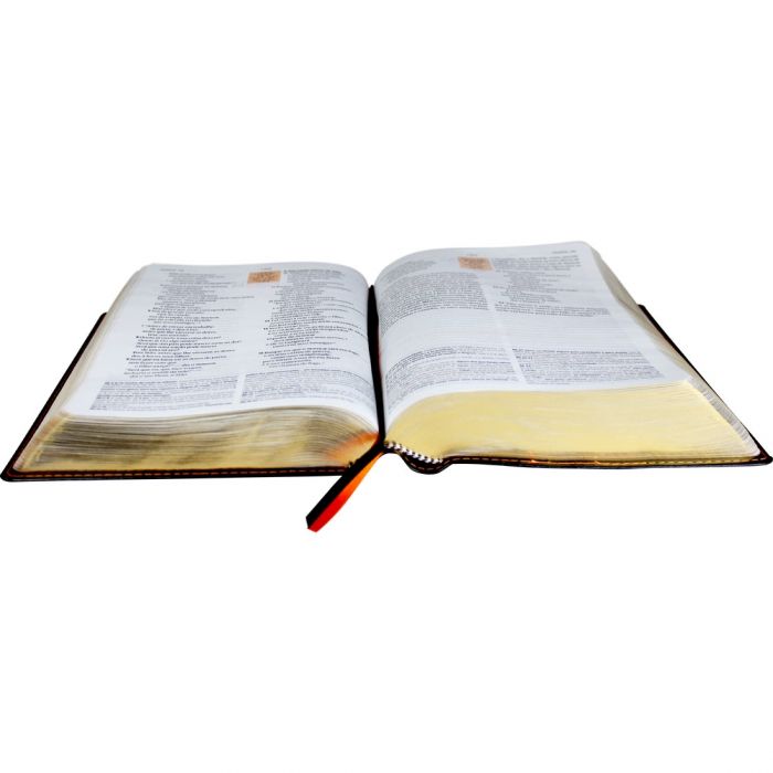 Bíblia de Estudo NAA-