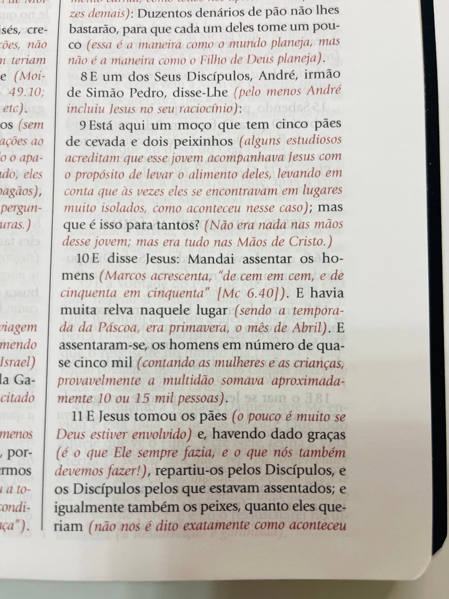 Bíblia de Estudo do Expositor