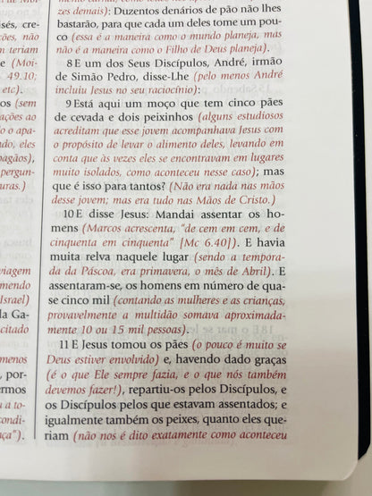 Bíblia de Estudo do Expositor