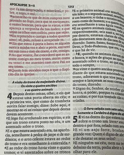 Bíblia Sagrada leão de Juda letra gigante – NVI capa dura