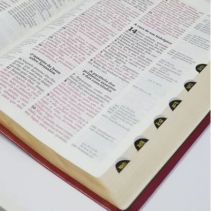 Bíblia de Estudo Thompson Letra grande Com índice