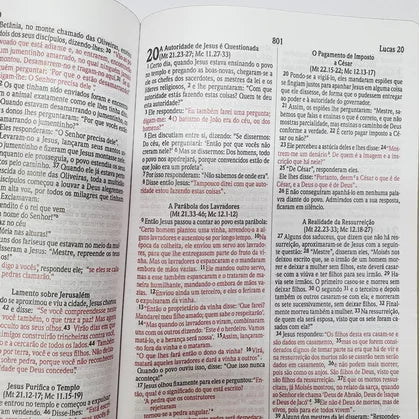 Bíblia Sagrada Leão Colorido– NVI Capa Soft Touch letra media