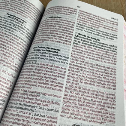 Bíblia Sagrada Feminina Borboleta Letra media– NVI capa dura