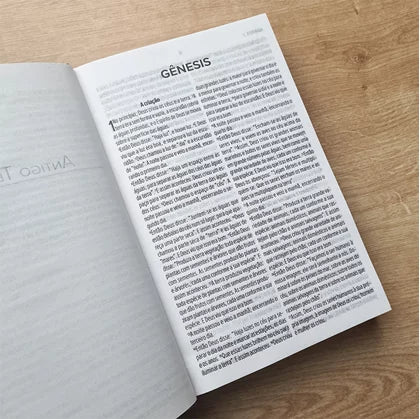Bíblia Sagrada Tudo Crê | NVT | Letra Grande | Capa Dura