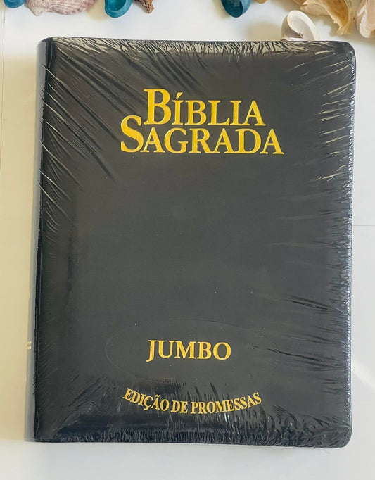 Bíblia Sagrada Letra Jumbo Edição De Promessas Luxo Preta com ziper.
