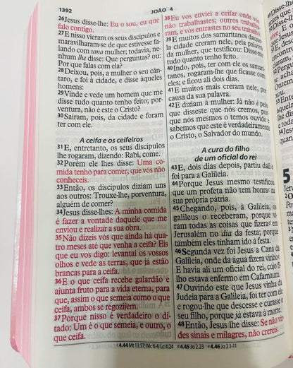 Bíblia Sagrada leão de Juda letra gigante – NVI capa dura