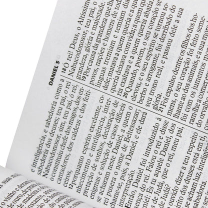 Bíblia  Letra Gigante com índice Almeida Revista e atualizada Preta com índice