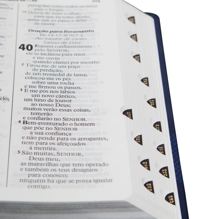 Bíblia Letra Gigante com índice Almeida Revista e atualizada Azul com índice