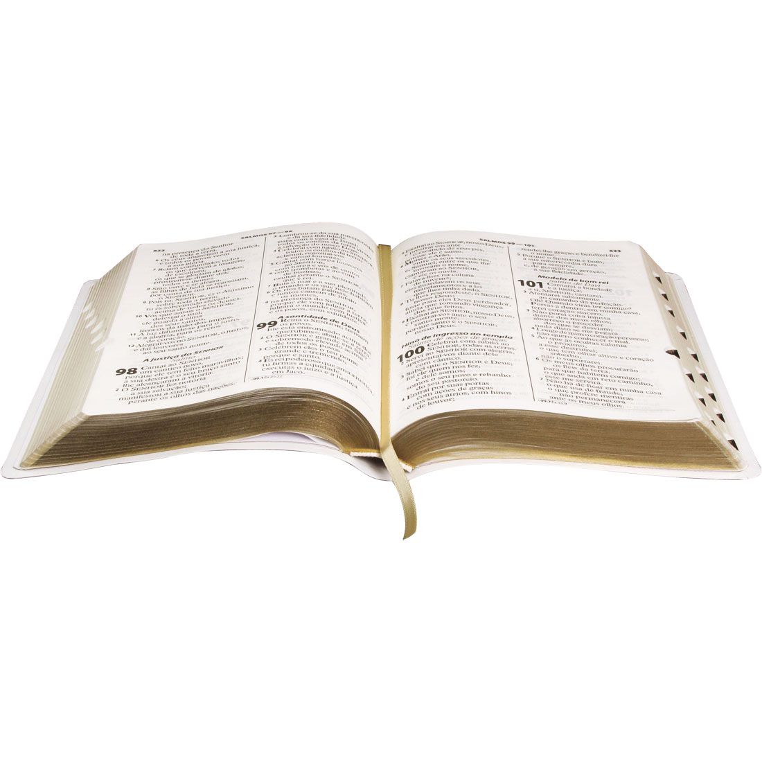 Bíblia Sagrada Letra Gigante Almeida Revista e Atualizada  Branca luxo com índice lateral.entrea entre 5-10/12