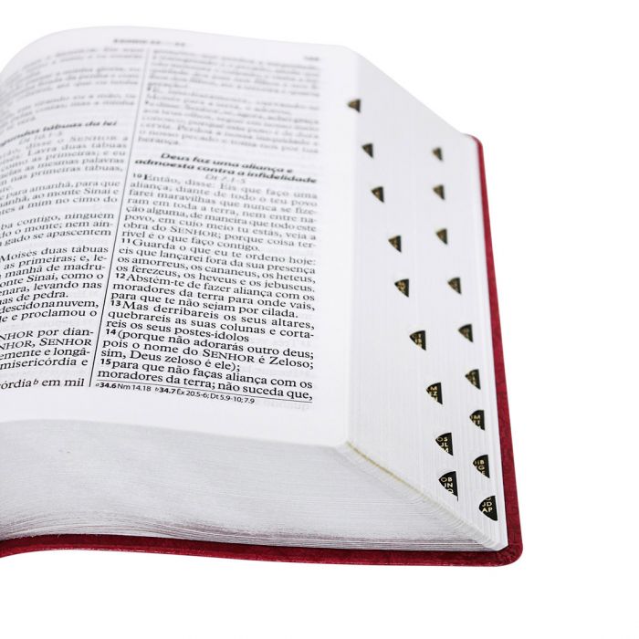 Bíblia Sagrada Letra Gigante Almeida RevistA E Atualizada com indice Rosa