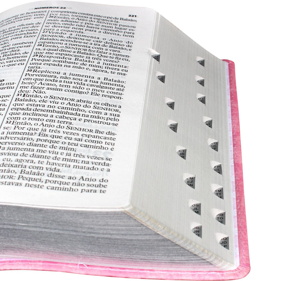 Bíblia Sagrada Letra Gigante Almeida Revista e Atualizada rosa Nobre com indice - entrega entre 5-10/12