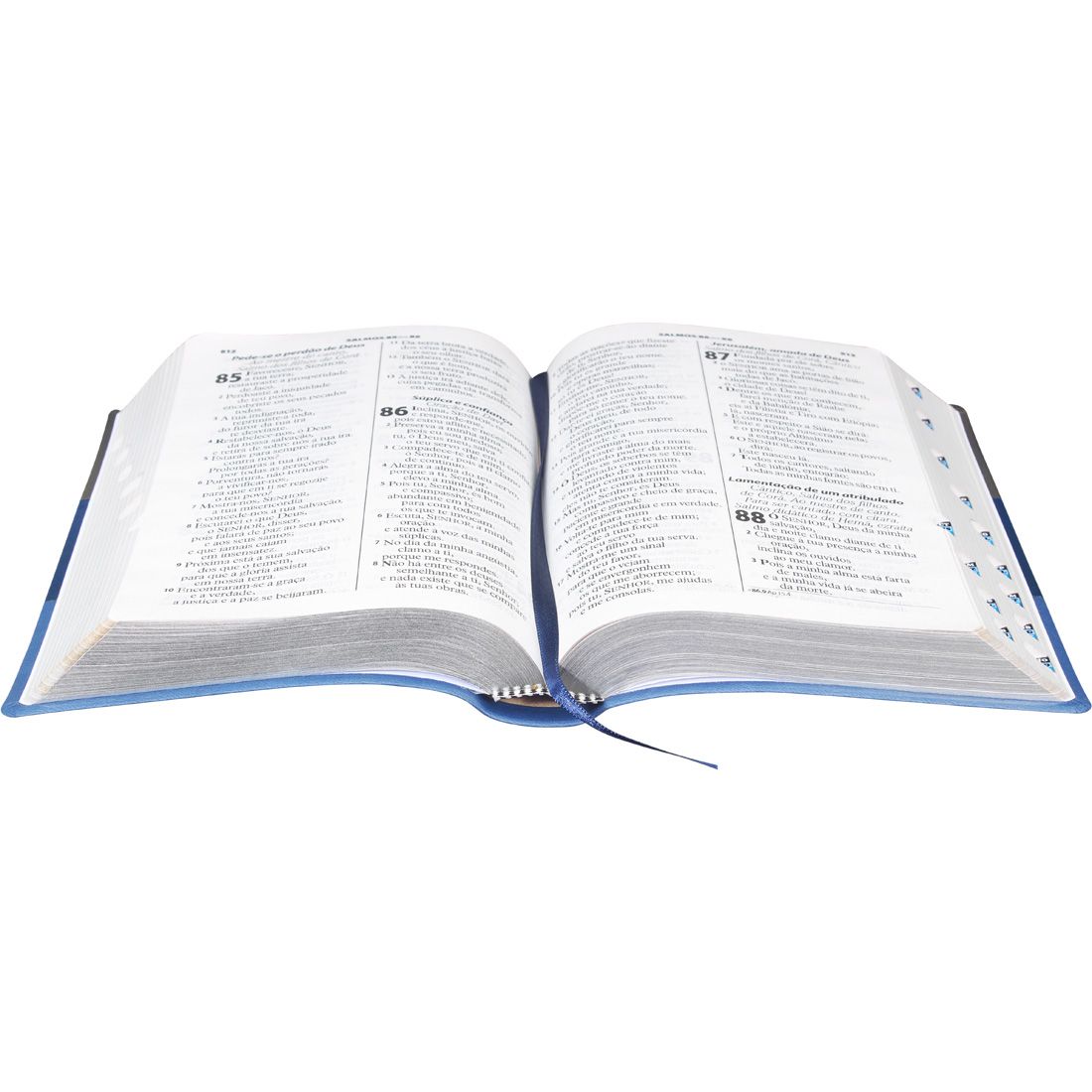 Bíblia Sagrada Letra Gigante com índice  Almeida Revista e atualizada tricolor.
