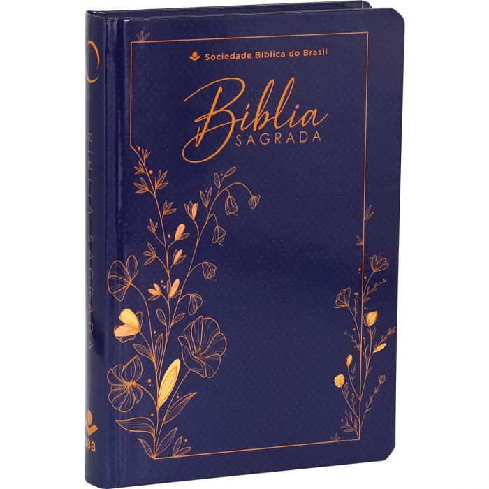 Bíblia Sagrada Letra Grande Almeida Revista e atualizada CAPA DURA -