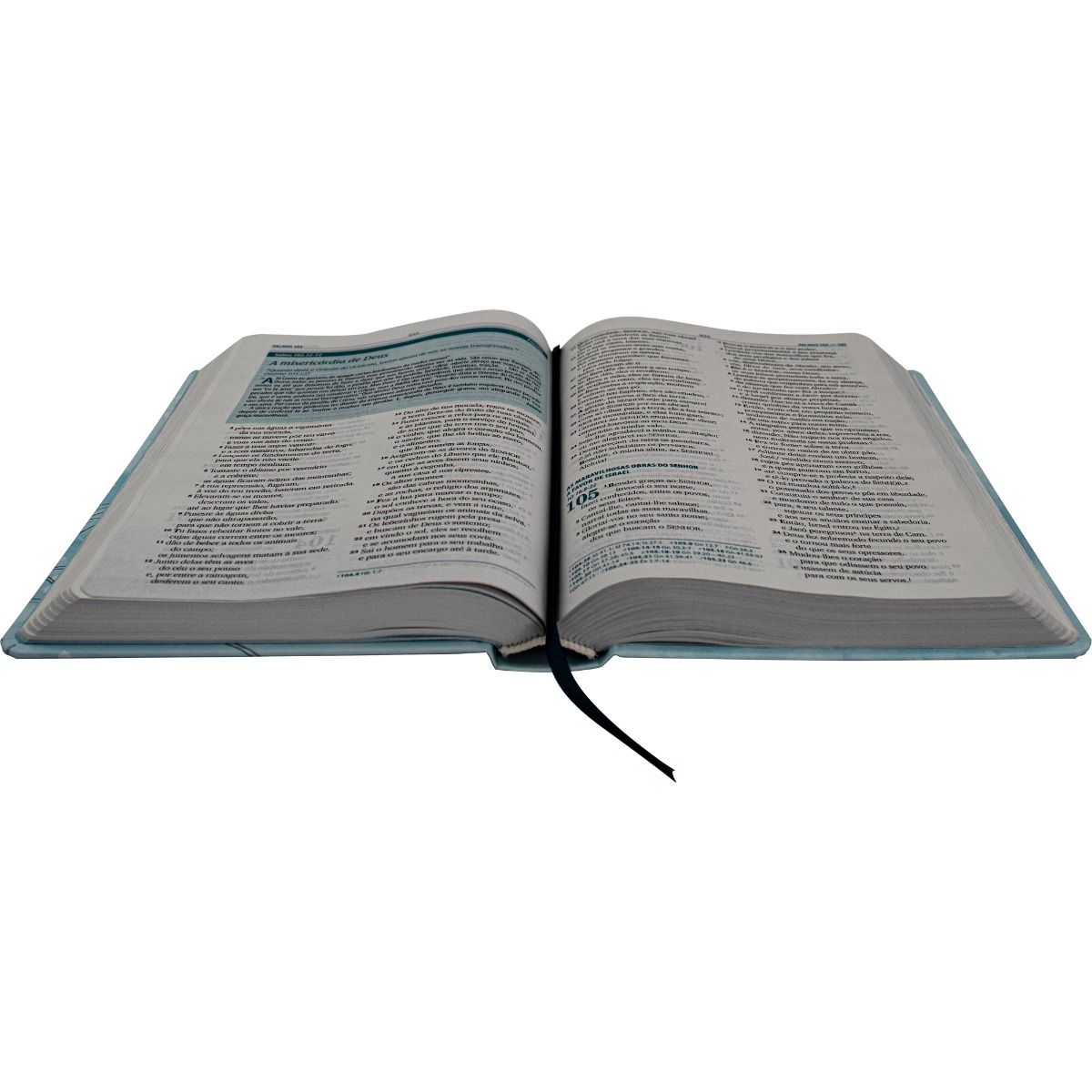 Bíblia da Família Almeida Revista e Atualizada  capa dura -