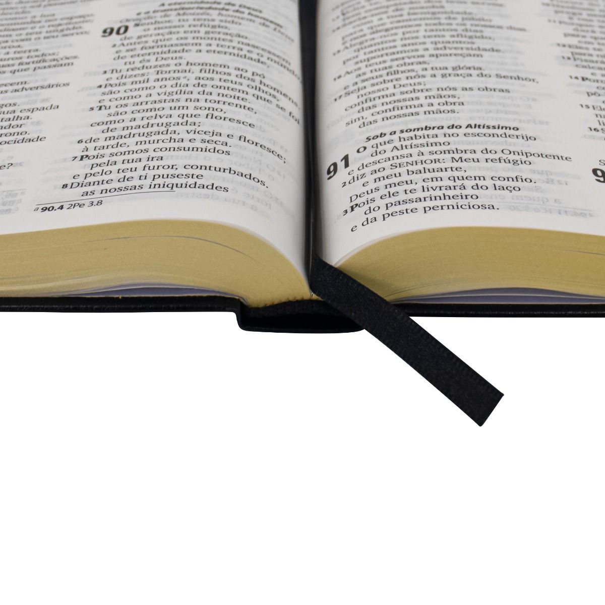 KIT COM 10  Bíblias Sagrada Letra Grande Almeida Revista e Atualizada PARA evangelização
