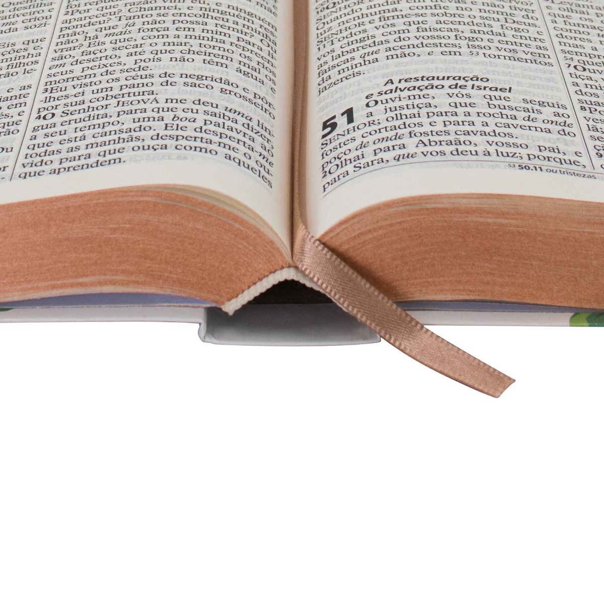 Bíblia Sagrada com Harpa Cristã - Letra Gigante -