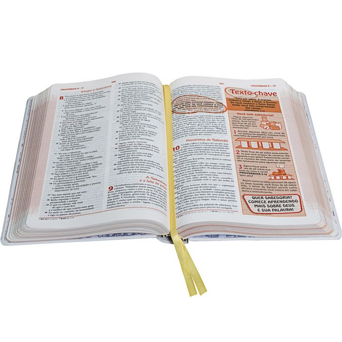 Bíblia das Descobertas rosa