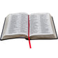 Biblia letra grande Almeida Revista e Atualizada Letra Grande - Sem Índice