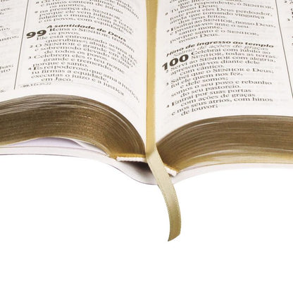 Bíblia letra gigante Revista e Atualizada  com índice