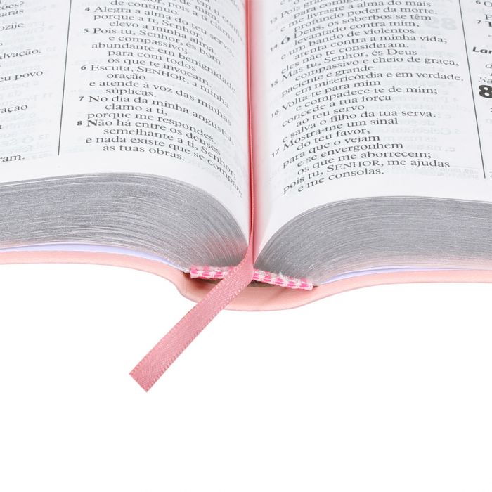 Bíblia Sagrada Letra Gigante Almeida Revista e Atualizada com indice lateral.