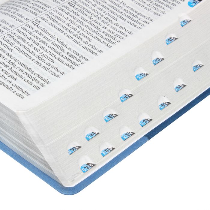 Bíblia Sagrada Letra Gigante com índice  Almeida Revista e atualizada tricolor-