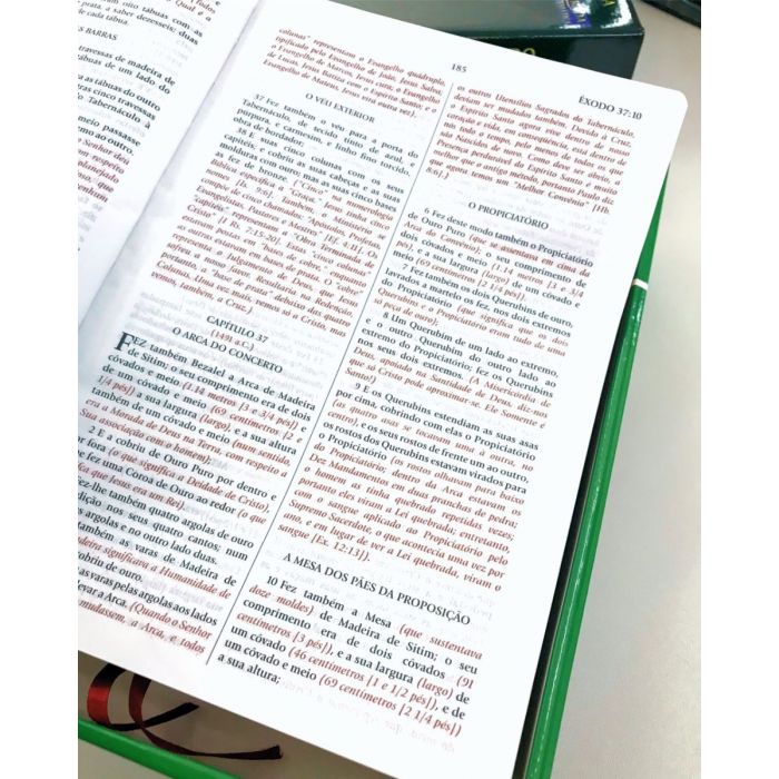 Bíblia de Estudo do Expositor